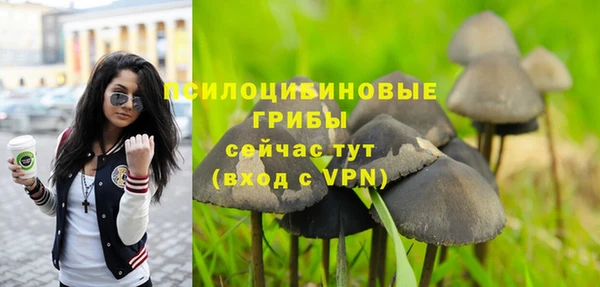 твердый Волоколамск