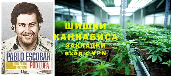 винт Верея