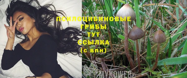 винт Верея