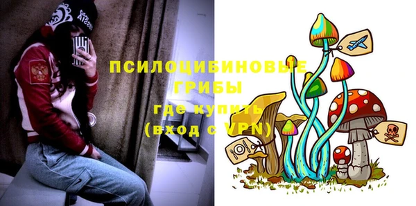 твердый Волоколамск