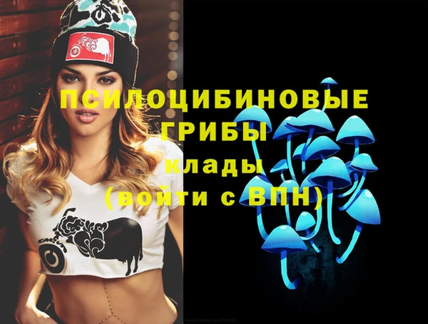 ECSTASY Волосово