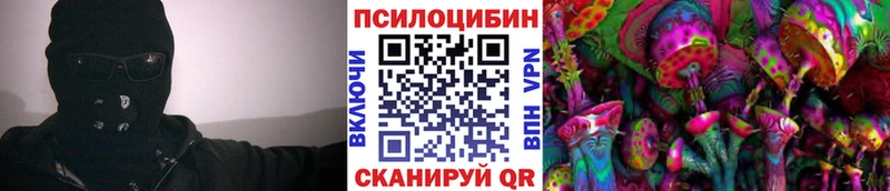 Галлюциногенные грибы прущие грибы  Вязьма 